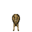 lion lion